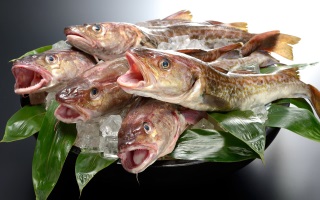 女川温泉華夕美の三陸海鮮料理 魚介海鮮食材 鱈